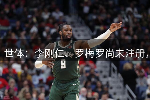 世体：李刚仁、罗梅罗尚未注册，或无缘马竞西甲首轮