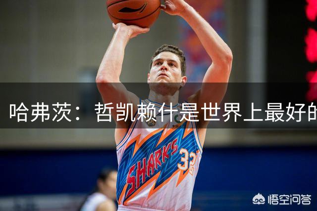哈弗茨：哲凯赖什是世界上最好的前锋之一，和他踢球很容易