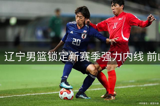 辽宁男篮锁定新赛季强力内线 前山东外援加盟