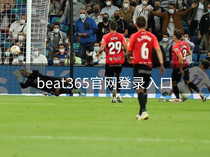 品牌介绍